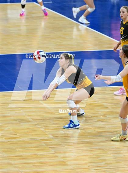 Thumbnail 3 in Merino vs. Sargent (CHSAA 1A 2nd Round) photogallery.