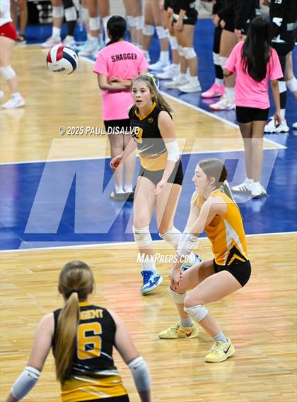 Thumbnail 1 in Merino vs. Sargent (CHSAA 1A 2nd Round) photogallery.