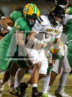 Photo from the gallery "Sunny Hills @ Kennedy"