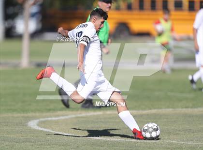 Thumbnail 2 in Madison Highland Prep vs. Ash Fork (Old Pueblo Soccer Classic) photogallery.