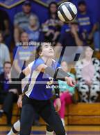 Photo from the gallery "Orangewood Christian @ St. John Lutheran"