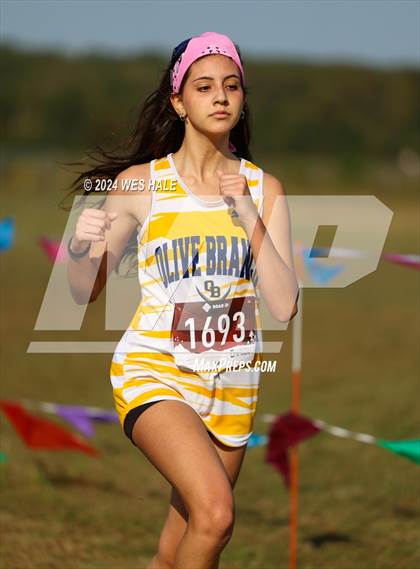 Thumbnail 1 in DeSoto County XC Championship photogallery.