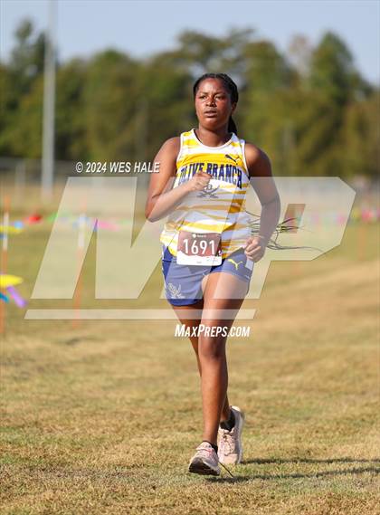 Thumbnail 3 in DeSoto County XC Championship photogallery.