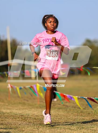 Thumbnail 1 in DeSoto County XC Championship photogallery.