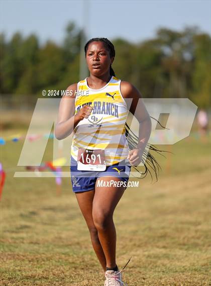 Thumbnail 1 in DeSoto County XC Championship photogallery.