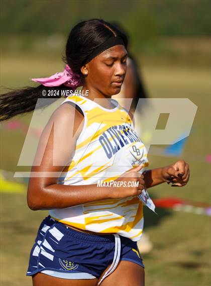 Thumbnail 2 in DeSoto County XC Championship photogallery.