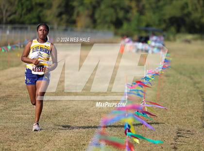 Thumbnail 2 in DeSoto County XC Championship photogallery.