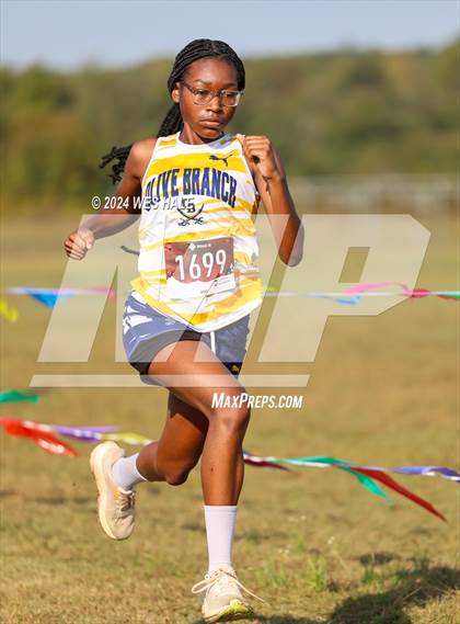 Thumbnail 2 in DeSoto County XC Championship photogallery.