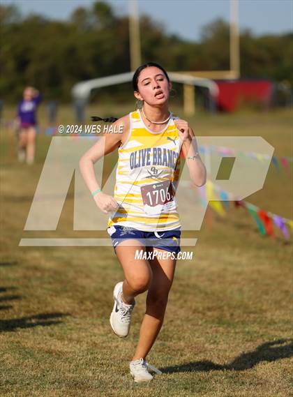 Thumbnail 2 in DeSoto County XC Championship photogallery.