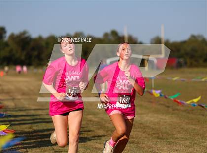 Thumbnail 1 in DeSoto County XC Championship photogallery.