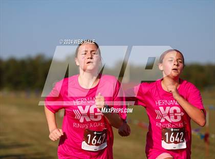 Thumbnail 2 in DeSoto County XC Championship photogallery.