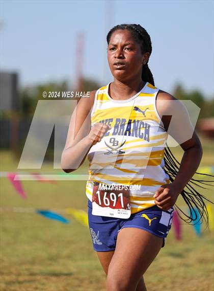 Thumbnail 2 in DeSoto County XC Championship photogallery.