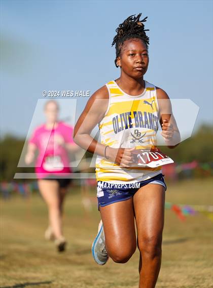 Thumbnail 1 in DeSoto County XC Championship photogallery.