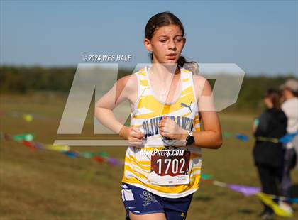 Thumbnail 3 in DeSoto County XC Championship photogallery.