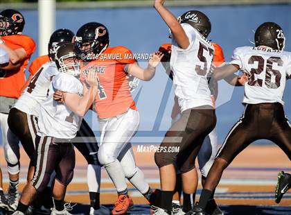 Thumbnail 1 in Crespi @  Chaminade photogallery.