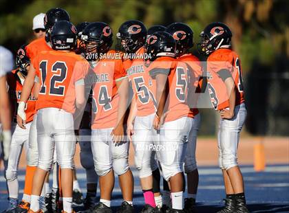 Thumbnail 1 in Crespi @  Chaminade photogallery.