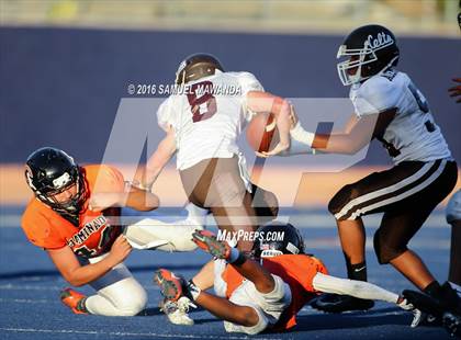 Thumbnail 3 in Crespi @  Chaminade photogallery.