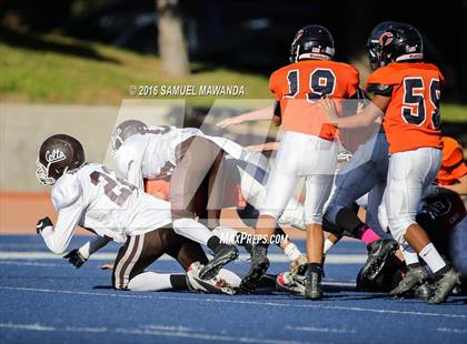 Thumbnail 3 in Crespi @  Chaminade photogallery.