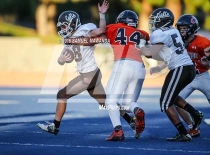 Thumbnail 1 in Crespi @  Chaminade photogallery.