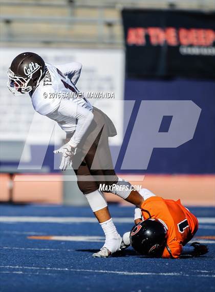 Thumbnail 2 in Crespi @  Chaminade photogallery.