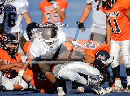 Thumbnail 2 in Crespi @  Chaminade photogallery.