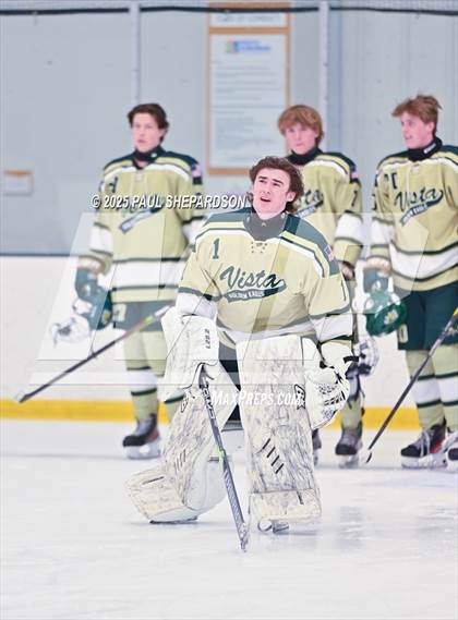 Thumbnail 2 in Poudre School District vs. Mountain Vista - CHSAA 5A Quarterfinals photogallery.