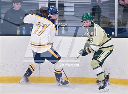 Thumbnail 1 in Poudre School District vs. Mountain Vista - CHSAA 5A Quarterfinals photogallery.
