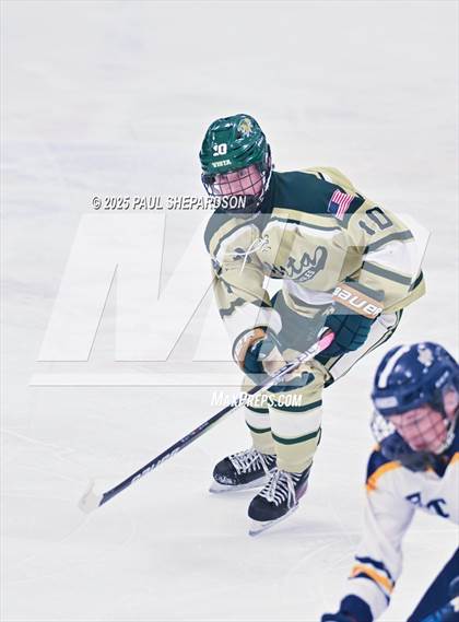 Thumbnail 3 in Poudre School District vs. Mountain Vista - CHSAA 5A Quarterfinals photogallery.
