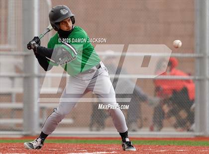 Thumbnail 1 in Mountain View vs Virgin Valley (Cactus Classic) photogallery.