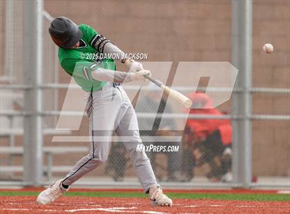 Thumbnail 3 in Mountain View vs Virgin Valley (Cactus Classic) photogallery.