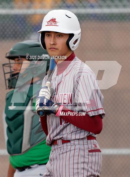 Thumbnail 3 in Mountain View vs Virgin Valley (Cactus Classic) photogallery.