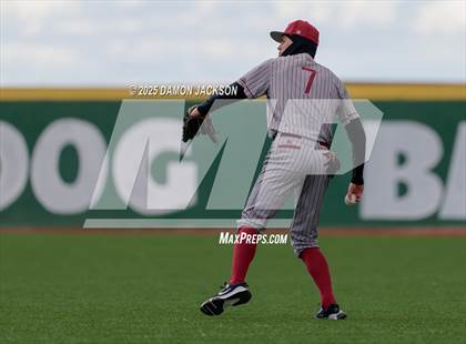 Thumbnail 1 in Mountain View vs Virgin Valley (Cactus Classic) photogallery.