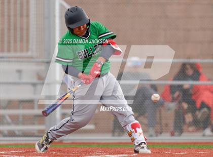 Thumbnail 2 in Mountain View vs Virgin Valley (Cactus Classic) photogallery.