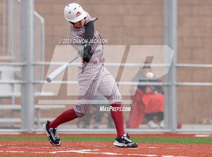 Thumbnail 3 in Mountain View vs Virgin Valley (Cactus Classic) photogallery.
