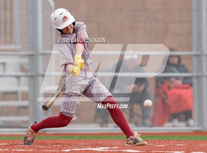 Thumbnail 1 in Mountain View vs Virgin Valley (Cactus Classic) photogallery.