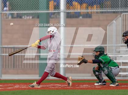 Thumbnail 3 in Mountain View vs Virgin Valley (Cactus Classic) photogallery.
