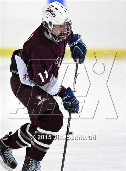 Thumbnail 3 in Scarsdale @ White Plains photogallery.