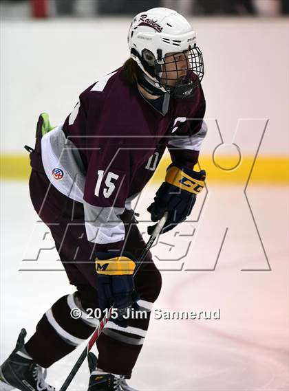 Thumbnail 3 in Scarsdale @ White Plains photogallery.