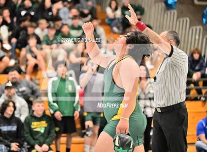 Thumbnail 3 in CIF SDS Division I Championship photogallery.