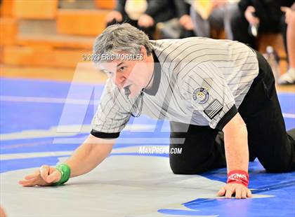 Thumbnail 3 in CIF SDS Division I Championship photogallery.