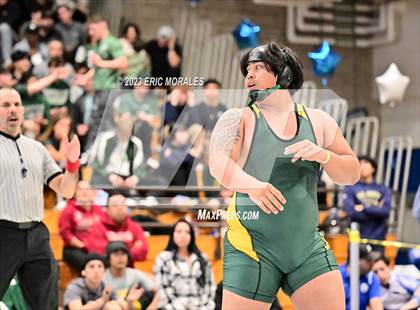 Thumbnail 3 in CIF SDS Division I Championship photogallery.