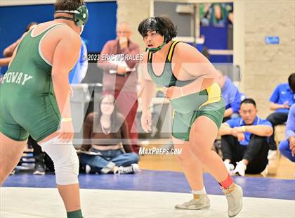 Thumbnail 3 in CIF SDS Division I Championship photogallery.