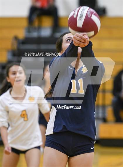 Thumbnail 1 in Milpitas @ Cupertino photogallery.