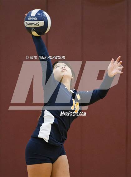 Thumbnail 3 in Milpitas @ Cupertino photogallery.
