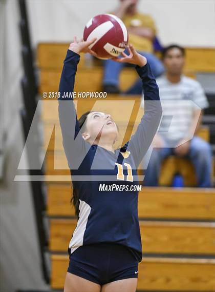 Thumbnail 2 in Milpitas @ Cupertino photogallery.