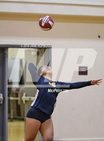 Thumbnail 2 in Milpitas @ Cupertino photogallery.