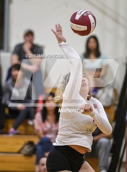 Thumbnail 1 in Milpitas @ Cupertino photogallery.