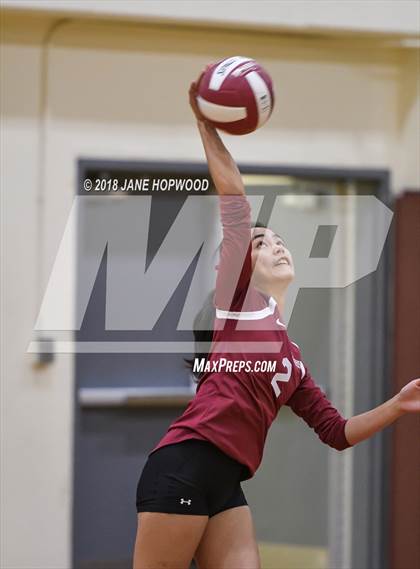 Thumbnail 1 in Milpitas @ Cupertino photogallery.