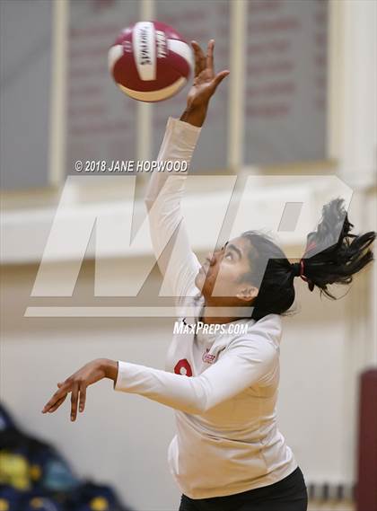 Thumbnail 3 in Milpitas @ Cupertino photogallery.