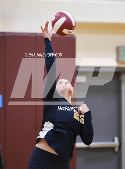 Thumbnail 1 in Milpitas @ Cupertino photogallery.